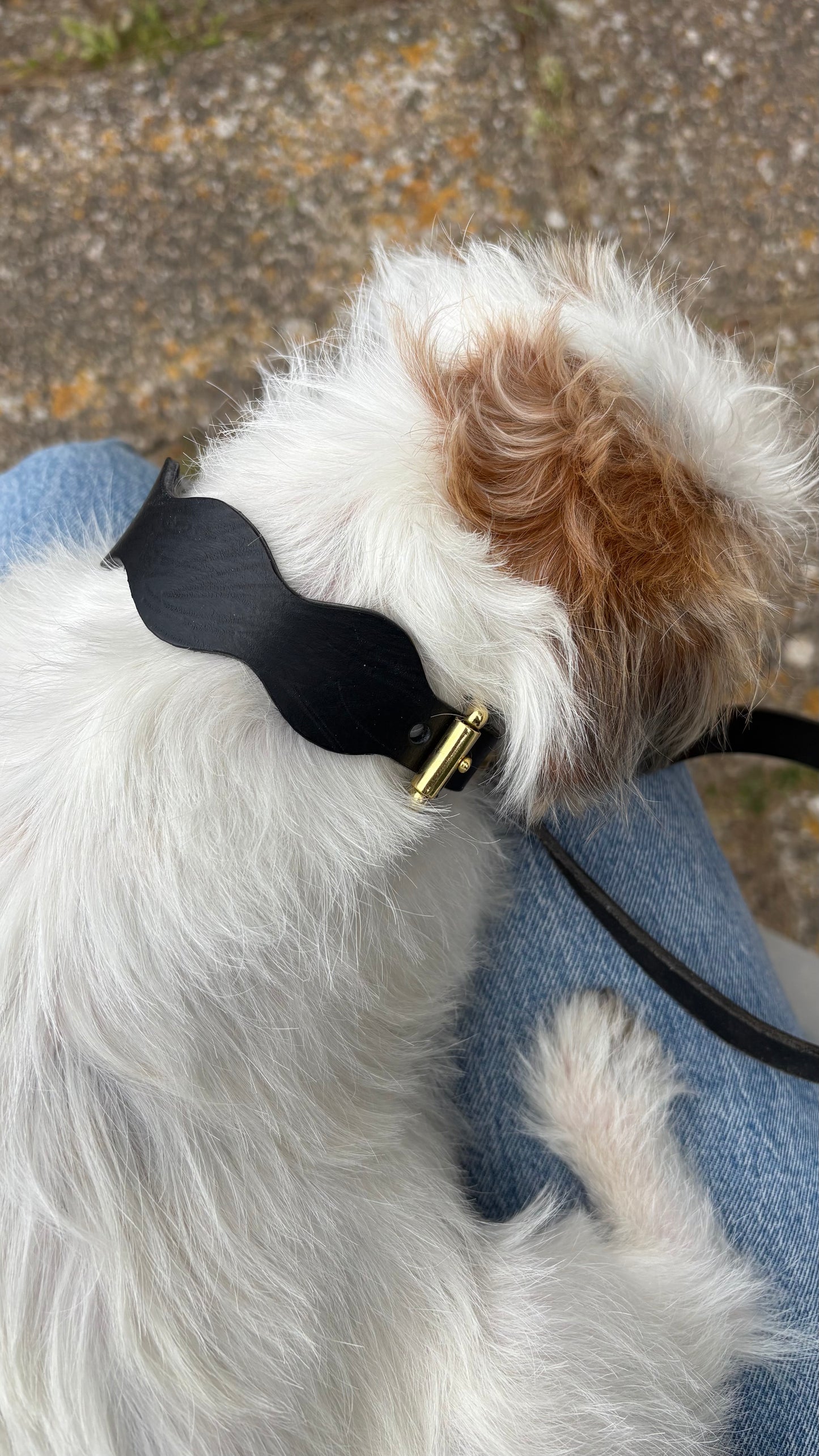 Collar Wavy Noir